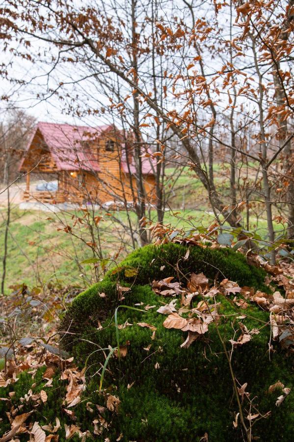 Вілла Brvnaria Slatina Екстер'єр фото